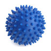 Imagen de Spiky Ball