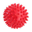 Imagen de Spiky Ball