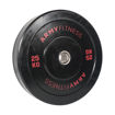 Imagen de PRO Bumper Plate