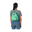 Imagen de JanSport Half Pint