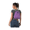 Imagen de JanSport Half Pint