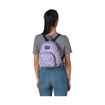 Imagen de JanSport Half Pint