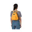 Imagen de JanSport Half Pint