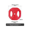 Imagen de Kit Mancuernas | 10 kg