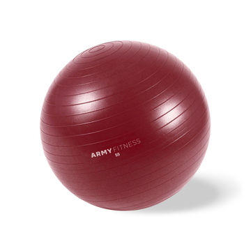 Imagen de Fitball Antiburst 55 cm