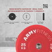 Imagen de Bumper Plate Multicolor - 25 kg