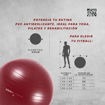 Imagen de Fitball Antiburst 55cm + Inflador