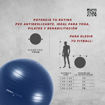 Imagen de Fitball Antiburst 75cm + Inflador