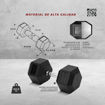 Imagen de Mancuerna Hexagonal 42.5kg