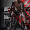 Imagen de PE Battle Rope 38 mm