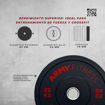 Imagen de PREVENTA Pro Bumper Plate 1.0 25kg Caucho Virgen Iwf Standard