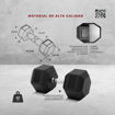 Imagen de PREVENTA Mancuerna Hexagonal 40kg