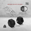 Imagen de PREVENTA Mancuerna Hexagonal 45kg